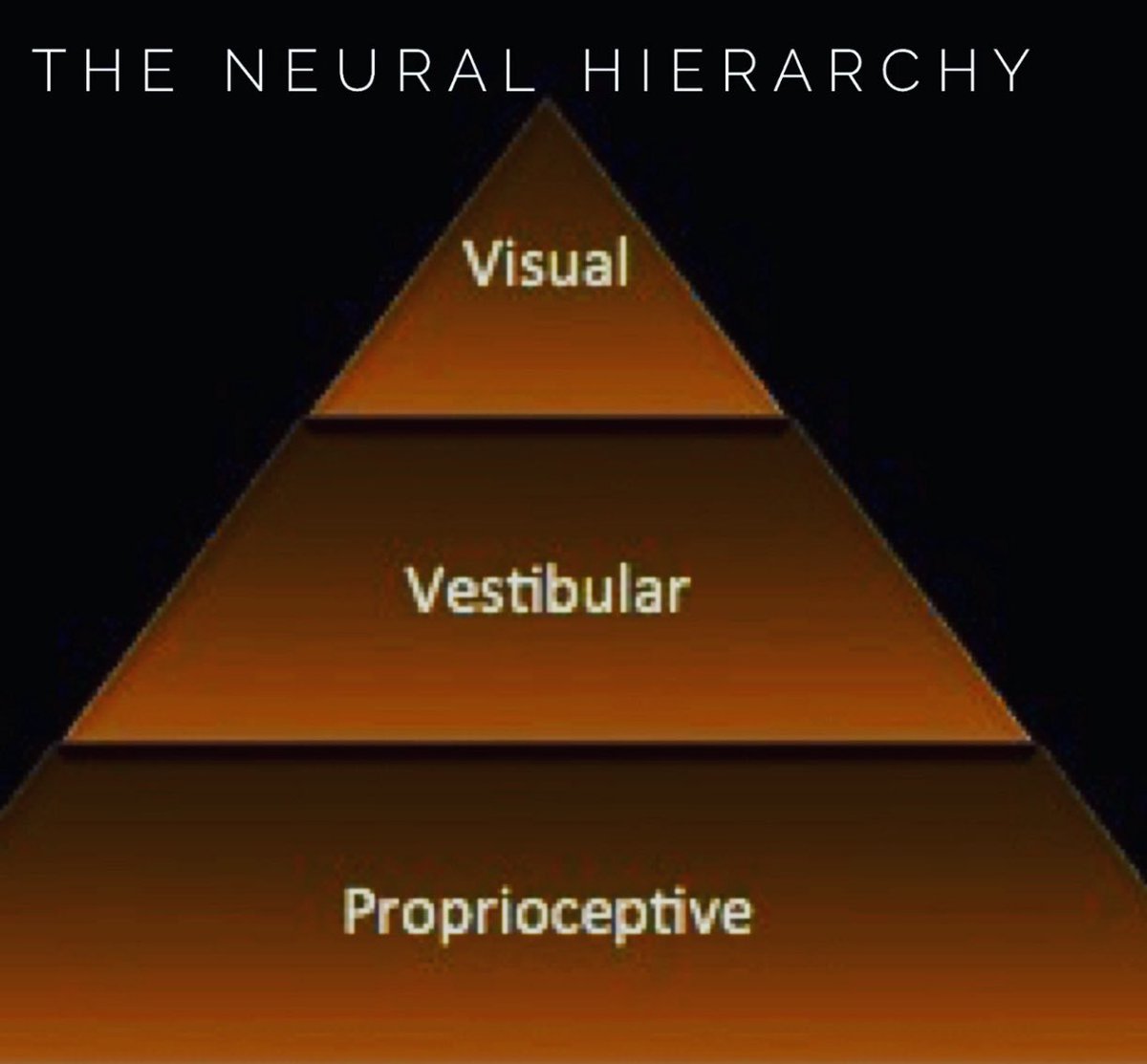petef08's tweet image. #PerformanceNeurology #NeuralPlasticity #OutsideTheBox