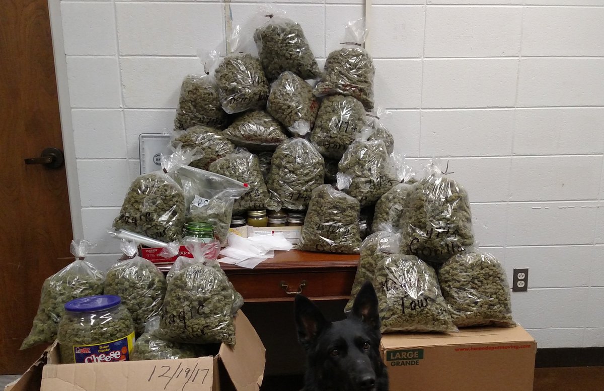 80-year-old man who said the pot in his pickup was for Christmas gifts is released on bail: bit.ly/2Dy2puM