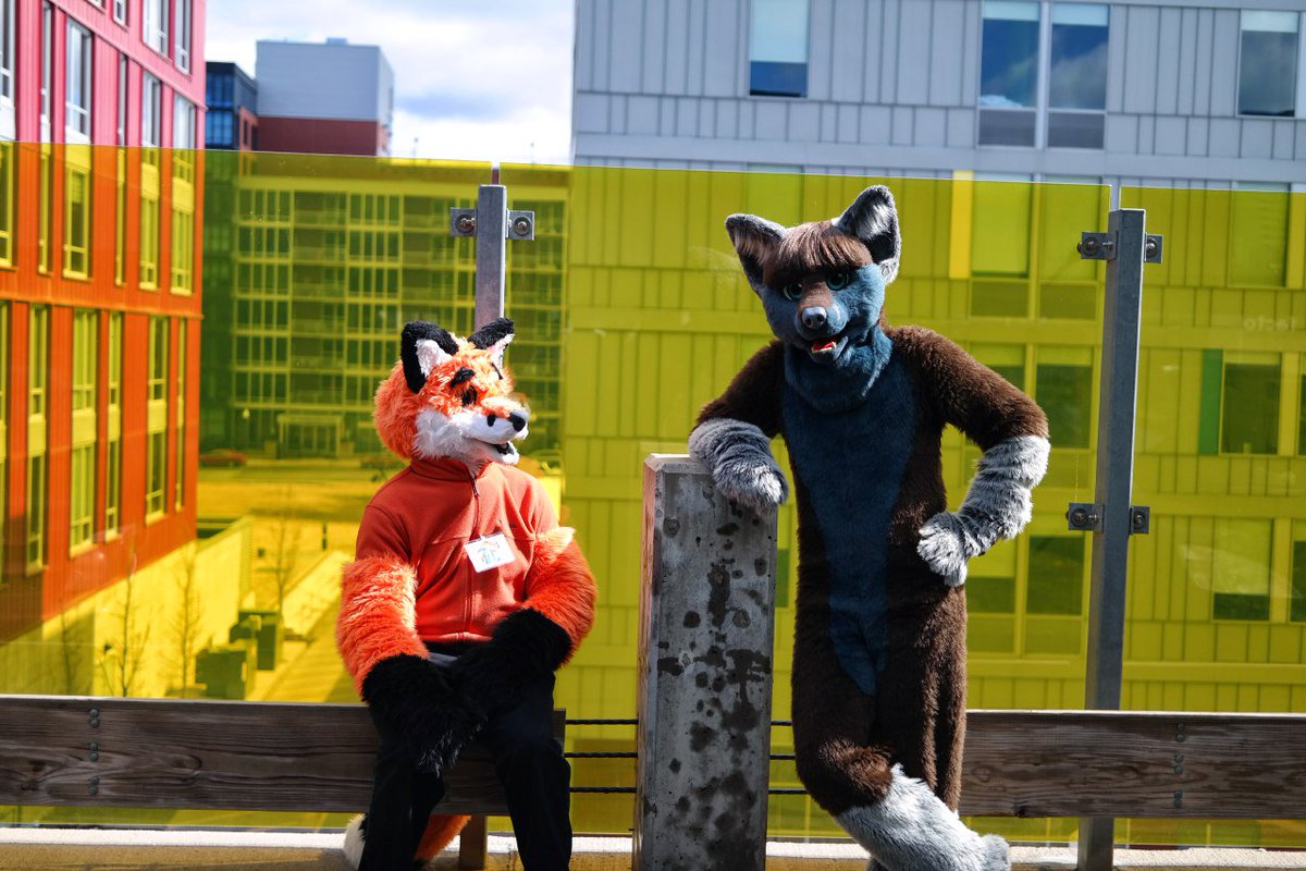 Razluz 65A tweet media