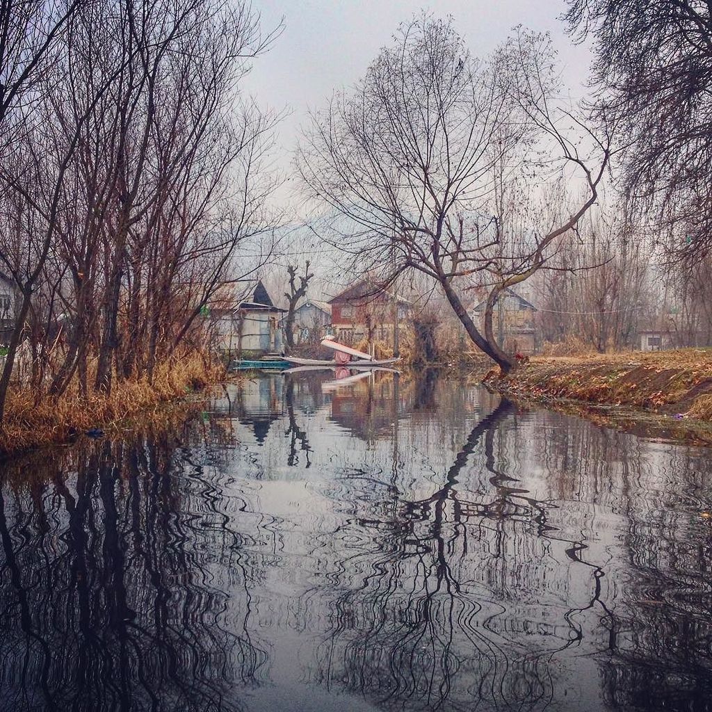 AltafQadriAP's tweet photo. Dal Lake. #DalLake #srinagar #Kashmir #igasia #igkashmir #iphonography #travel #learntravelphotography #reflection #trees #fall #winter #coldday #igramer #everydayeverywhere #dailylife https://t.co/b4cLgVWMFK https://t.co/GlHHsNFGrW