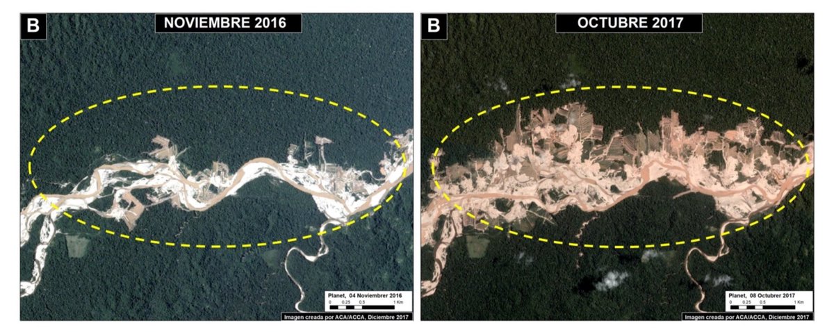 afneyra's tweet photo. Se incrementa pérdida de Bosque y Cobertura en Madre de Dios, se perdió área equivalente a más de 10 mil canchas de fútbol #MAAPProject https://t.co/ECxwnhg23j https://t.co/un3LXUUdsS