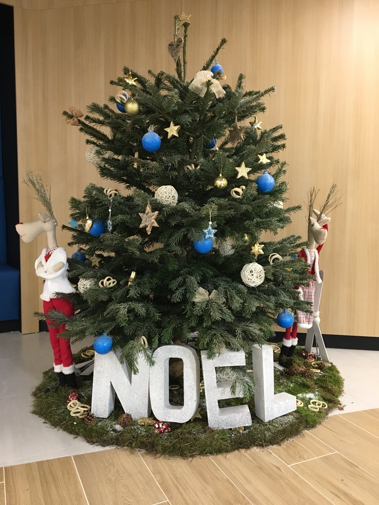 Mon beau Village🎄
Le tout premier sapin du Village est arrivé !
#cestbientotNoel