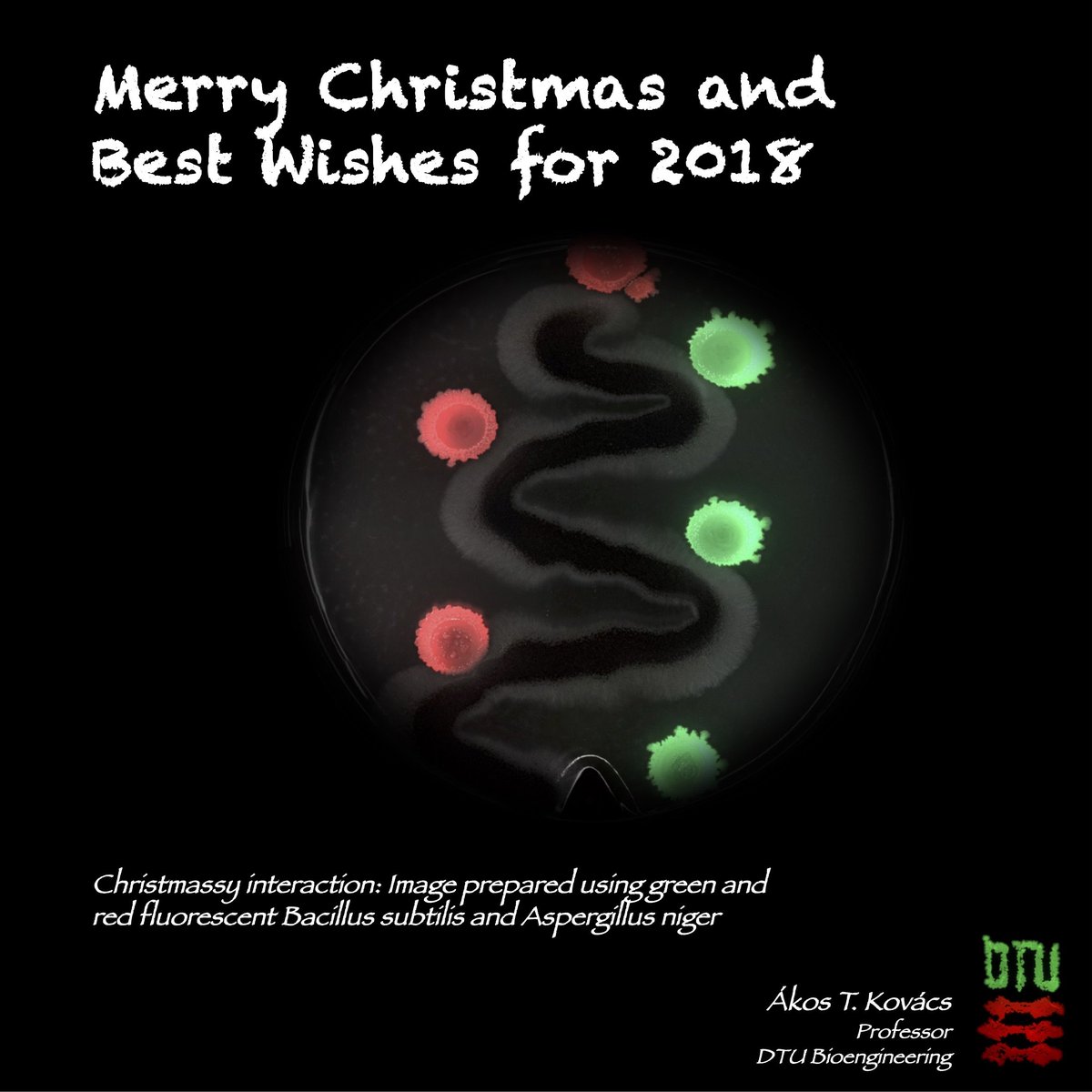 EvolvedBiofilm's tweet photo. Last working day of 2017... let's see:
Started a new position as Professor
Moved (part of the) group to a new country
Published 12 papers (+2 in press for 2018)
Reviewed 32 manuscripts
12 talks on conferences/departmental seminars
+ teaching
#AcademicActivity #PI_life https://t.co/2bWy5YPd1T