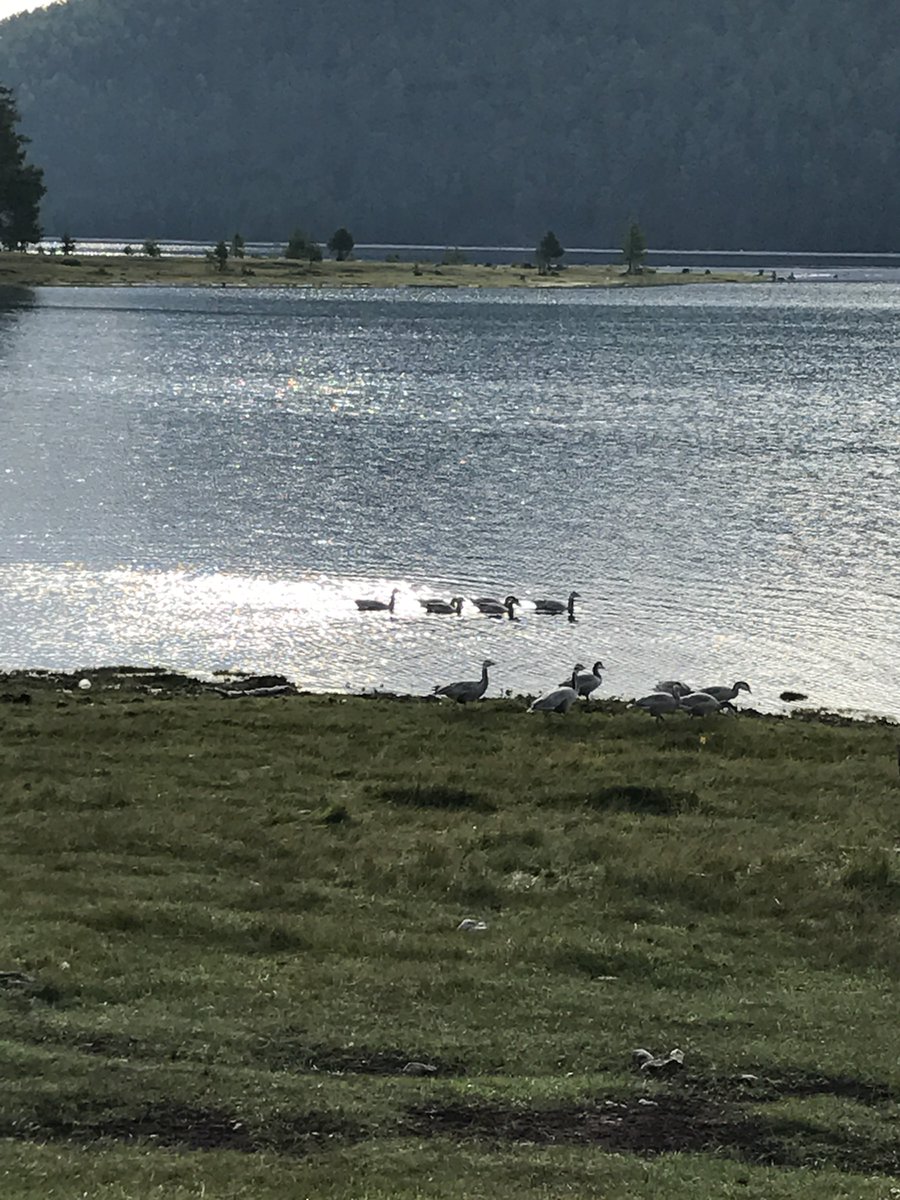 Монгол улсын гадаргын цэвэр усны нөөцийн 70 гаруй хувийг агуулж байдаг Хөвсгөл аймагт уул уурхайг эсэргүүцэж байгаа нь РТ.

Үр удамдаа усаа үлдээе!