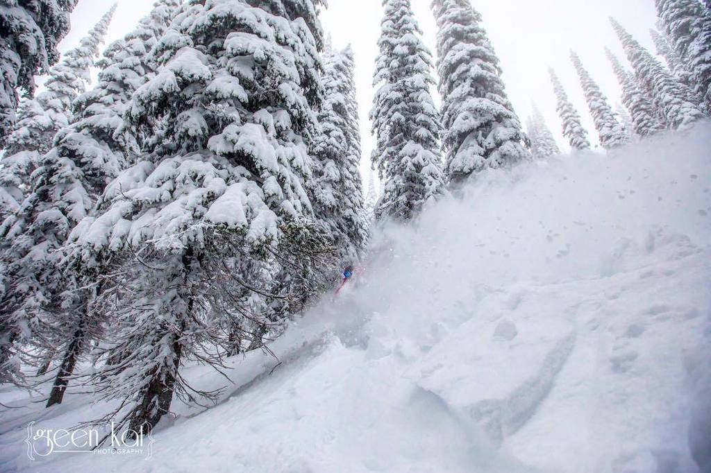 greenkatphoto's tweet photo. Dashing through the snoooooow...
On a @catalystsnowboards all day....
Through the trees we go....
Laughing all the way!!!
.
.
.
#skithefish #skiwhitefish #snowboarding #snowboard #snow #winter #fun #getoutside #goplay #havefun #playhard #pow #powder #skiresort #treeskiing #a⦠https://t.co/I8h8ODW0eA