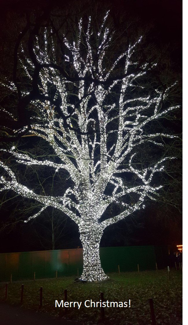 Wishing everyone a wonderful and peaceful festive break.  See you on the other side!