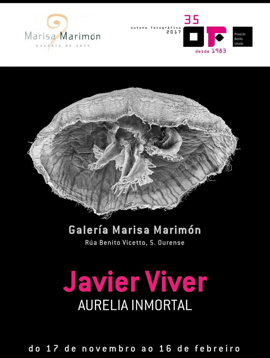 OutonoFoto's tweet photo. A obra de @javier_viver está na @gmarisamarimon. 
Achégate a vela e non deixes de ver o seu fotolibro!!
#OF2017 @_clavoardiendo https://t.co/gyzYqzERUu
