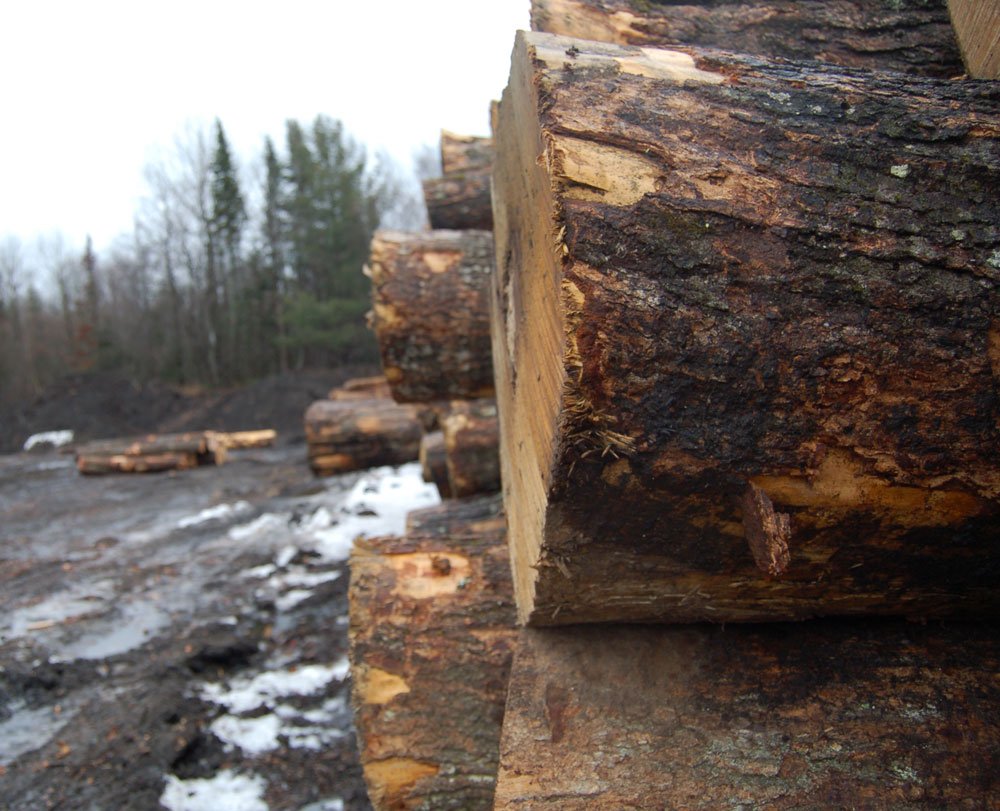 AdkEnterprise's tweet photo. Biomass warms up: Boilers that burn timber byproducts spread through the Adirondacks https://t.co/eMdBfEpnvP https://t.co/wDJHQPeWfC