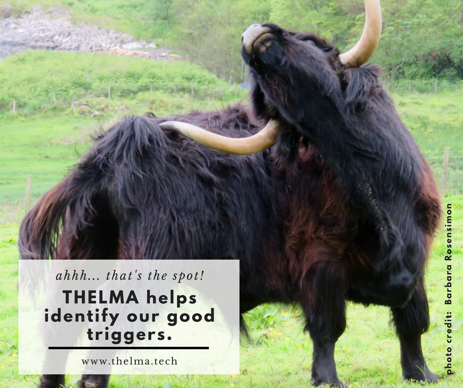 ThelmaTech's tweet image. THELMA will help remove uncertainty about our flares and triggers. 

Help us build THELMA:  buff.ly/2l2Uwc3