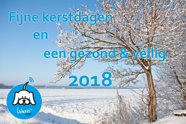 Qvita tweet media