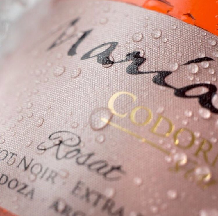SpaBelgrano's tweet photo. 🎁🎄🎅🏻 Celebramos las Fiestas con #MariaCodorniu Rosat de @BODEGASEPTIMA -> https://t.co/hBbpqgULqz https://t.co/C04Ro8geui