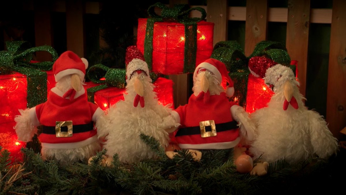 SpringBarnFarm's tweet image. 🎁🎉 #MerryChristmas from all at SBF! 🦌🎅
Thank you to all our visitors and friends for your continued support throughout 2017! Please note that we will now be closed on 25th, 26th, 27th, 28th and 29th December, but will reopen on December 30th and hope to see you soon!