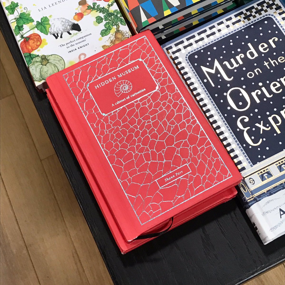 shaundparr's tweet photo. Last chance to get your copy of Hidden Museum before christmas. https://t.co/qHDCp2xTje @WaterstonesWN1 @cicadabooks #book #bookpublishers #publishers #history #historybooks #drawing #illustration #scientific #design #science #art #kidsbooks #adultbooks #christmasgift #christmas https://t.co/GNb5SA6qwQ