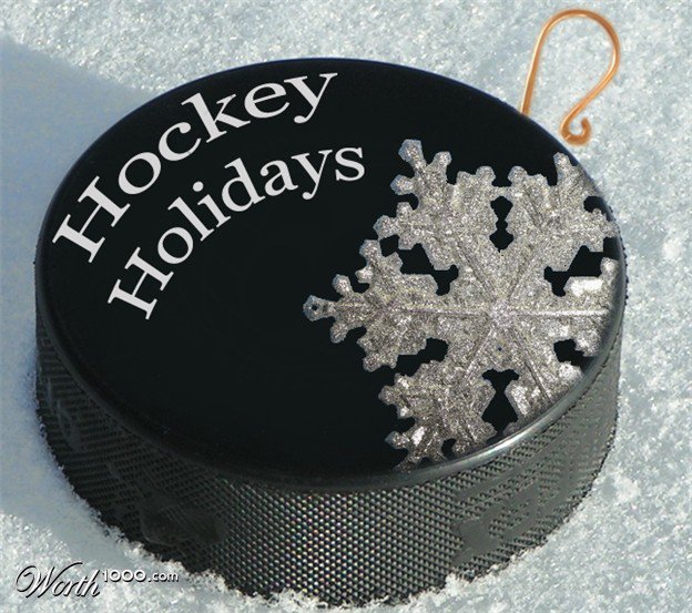 NextStepScout's tweet image. 