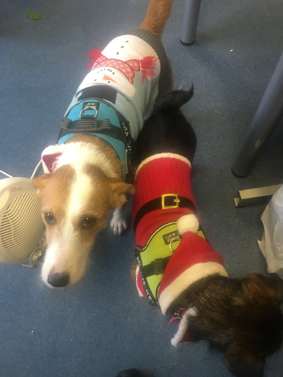 CambridgePM's tweet photo. Merry Christmas from all the staff - and dogs! - at Cambridge Publishing Management! We will see you in the New Year 😊🎅🏽🐶🎉 https://t.co/d4RovyNSaJ