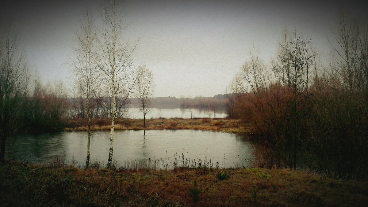 ViktorMarkwart's tweet photo. Winterliebe. Lauffreude. 
#joggen #inspiration #winterlandschaft https://t.co/wVt1gbslof