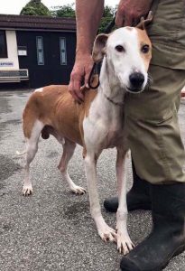 🐾Frazer_FFH🐾 tweet media