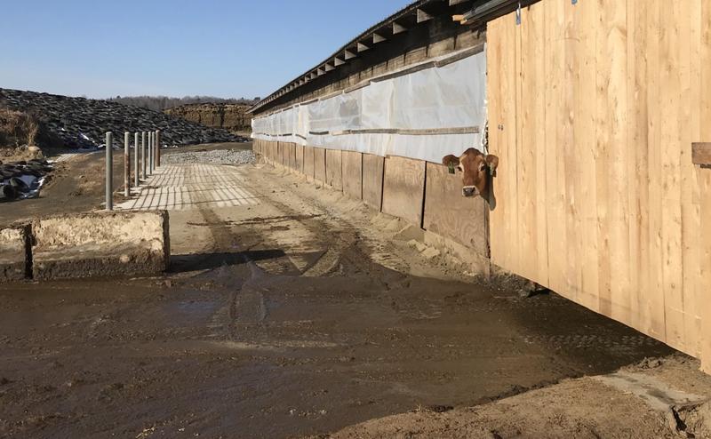 VPR Investigative Reporter On Nitrate Pollution In Vermont Well Water dlvr.it/Q7BVZY https://t.co/TqV0FFVAYl