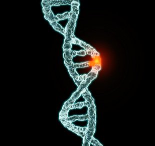 download web search multidisciplinary perspectives