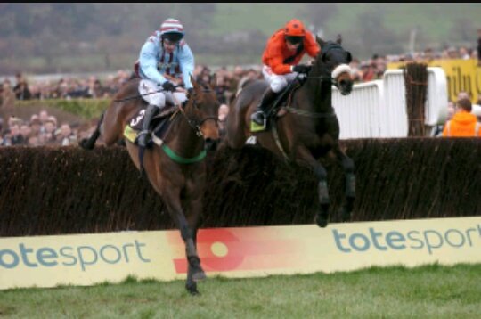 See the legend Harbour Pilot runs in the 6.30 at Wolverhampton