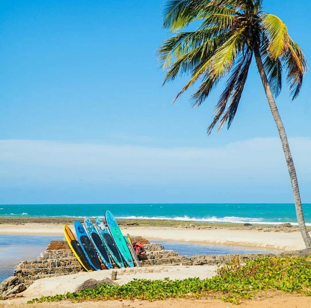 RNCanguaretama's tweet photo. O fim de semana chegou \o/ Que tal levar a sua galera para curtir a Barra do Cunhaú? Venha aproveitar nossas belezas 📷: @lfelipemedeiros #barradocunhau #praia #praiasdoRN #beach #sol #mar #litoralbrasileiro #Love #vibes #kite #kitesurf #Nordeste #RN #Canguaretama #Brasil https://t.co/LF8IUC4yt2