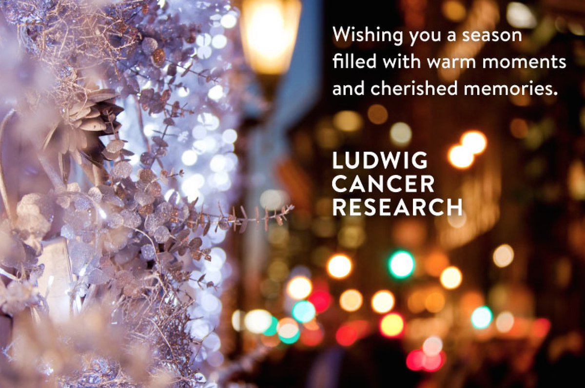 Ludwig_Cancer's tweet photo. Warm holiday wishes from all of us at Ludwig! We look forward to another year of life-changing science, collaboration and progress. https://t.co/90KSnCCUjo