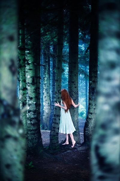 hennen35's tweet photo. Bosque encantado
de versos y rimas
que con su
derroche de ternura y cariño
llega directo al corazón.
#universotwitter
Felices Fiestas para todos, gracias por este año maravilloso🎄🎄🎄Mucho amor y paz💙
📷Ebru Sidar https://t.co/t4hC62cCgO