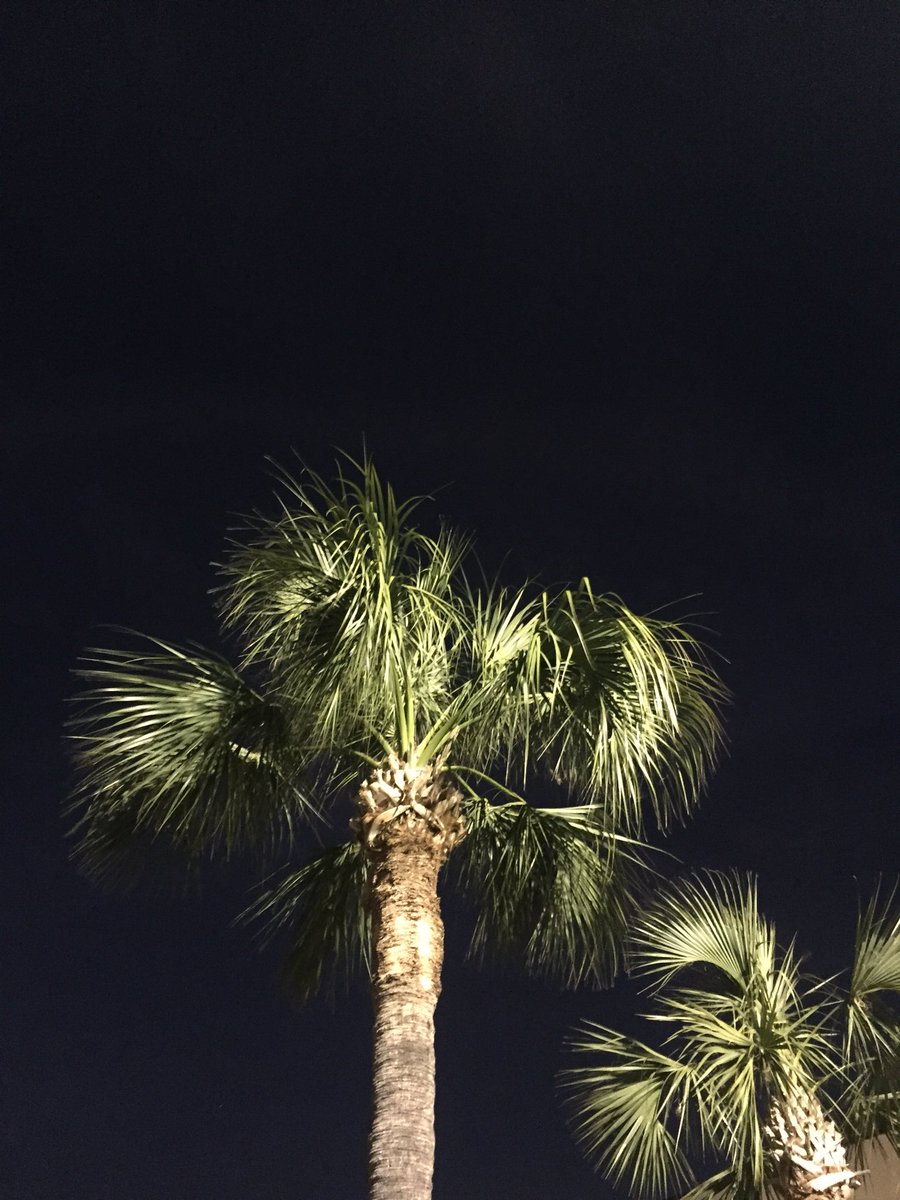 calldame's tweet photo. Love it here ( Florida ) https://t.co/J1pHAmhzmX