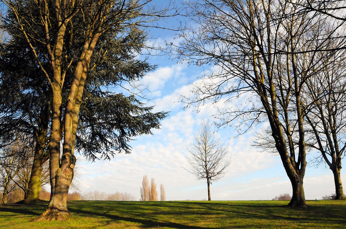 Ex-Lille 3 tweet media