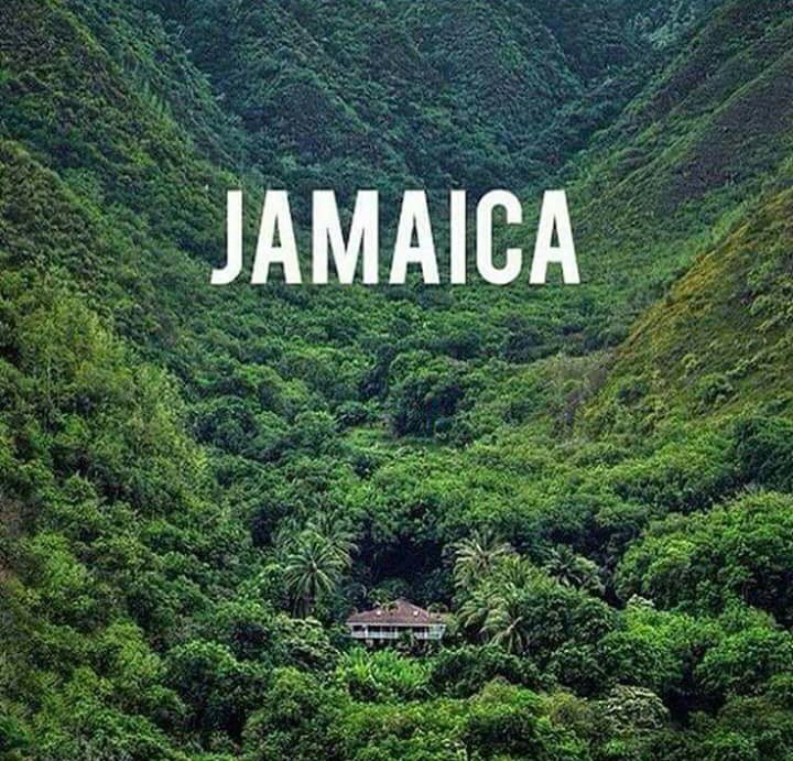 A place call #Jamaica that beautiful nature #ISLAND in the Sun."  where the #GarrisonGarden shall be #Future🌴 🌾🌱🌿🍀☘🍃 ready Till the Soil #Farmer Man medz. #kushup nature is everything, and #jamaica is one in a million with natural livity' in the Western WORLD 🤗🙏 🍈🌶🍌🌽
