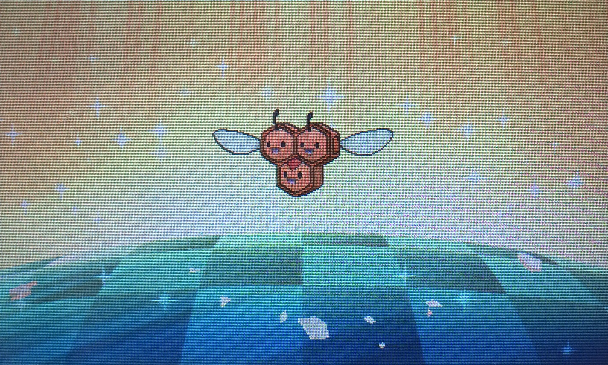 ちゃん丸 Pkmn Maru Twitter