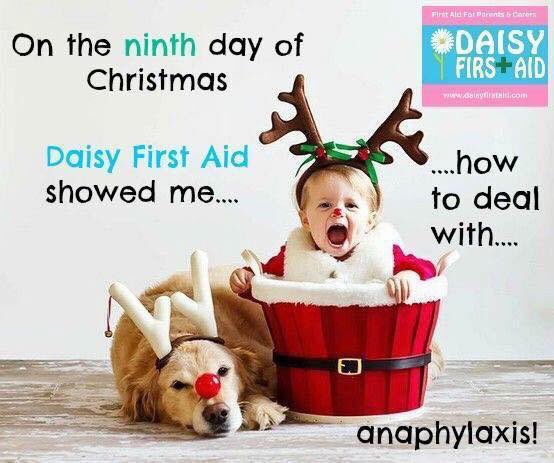 daisyfirstaidmk's tweet photo. #12DaysOfChristmas #daisyfirstaid https://t.co/vJiwcvxQDw