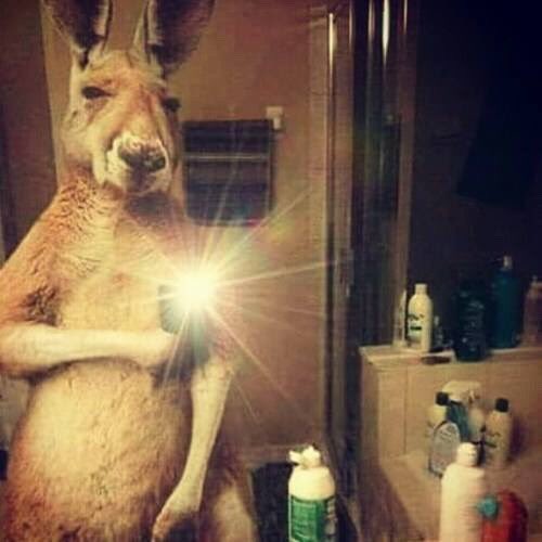 TLW005's tweet image. 