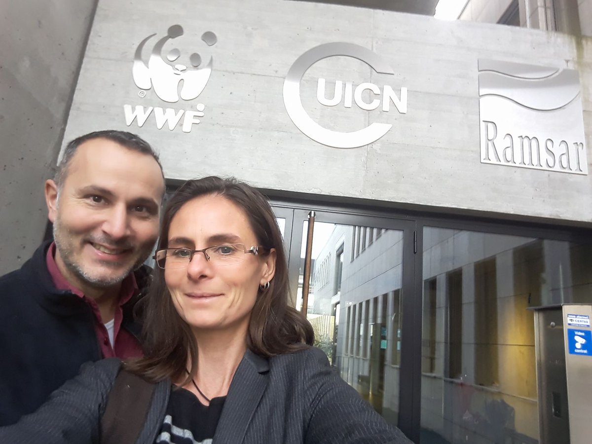DenisPalanque's tweet photo. Présentation des images de notre mission à Madagascar pour le programme @SOS - Save Our Species Our Species et @TerreSauvage. Au siège de @IUCN à Genève . Etape suivante préparation d'expo et de conférences!
#Helpsimus @MBPartnership #ThePeregrinefund https://t.co/IB6oGB8Wg0