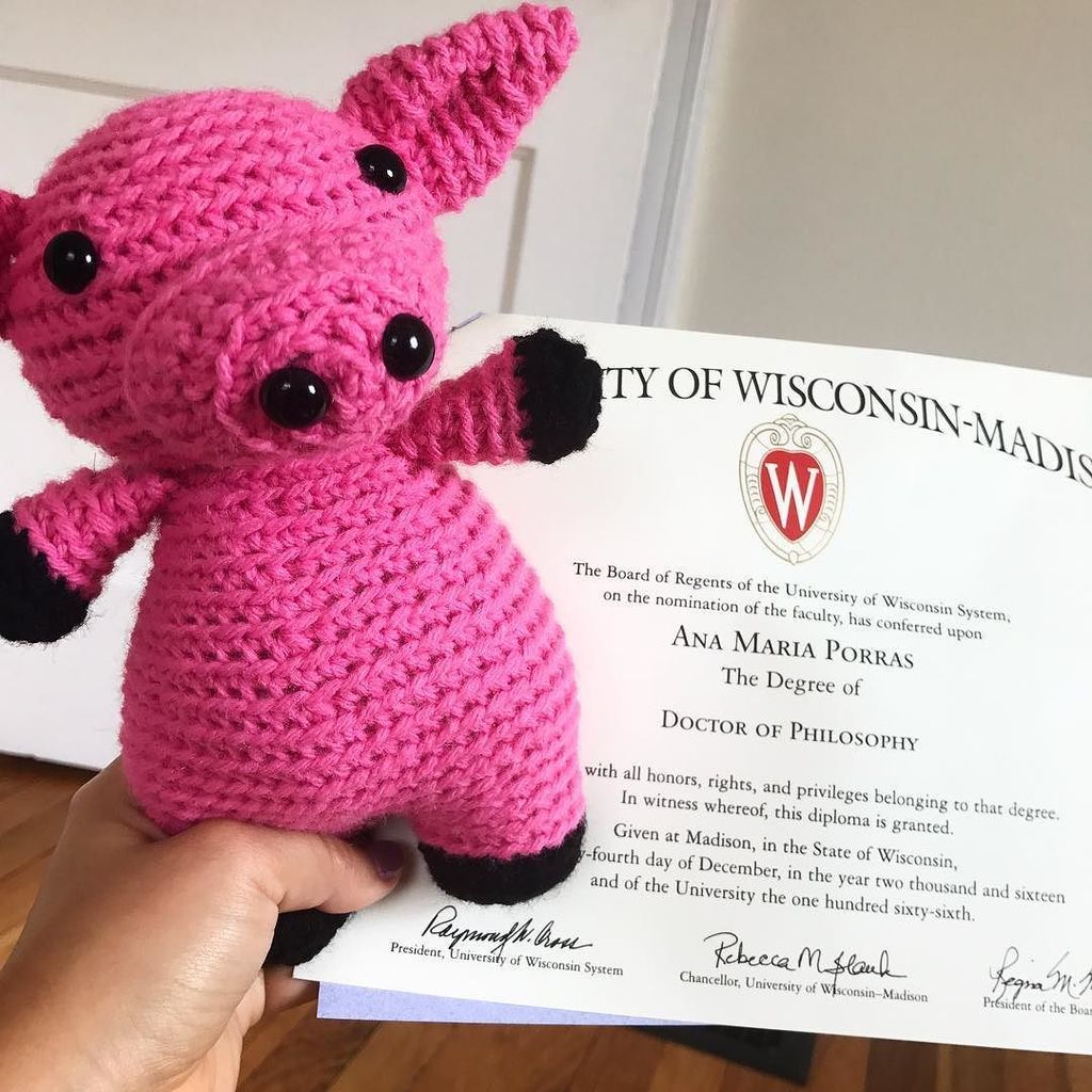 theSTEMsquad's tweet photo. A few months ago I crocheted this #amiclub cutie in honor of the many pigs that made my Ph.D. research possible. I studied aortic valve disease, which in its early stages affects 1 in every 4 adults over 65 in the US and Europe. There is currently no tre… https://t.co/fOaWh9U4aZ https://t.co/pvzItGUX8E