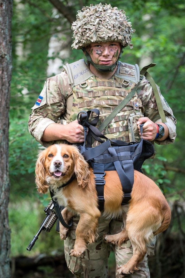 Let’s all take a moment to thank those serving their country this Christmas at home and abroad as part of our armed forces. Thanks to all the men, women and working animals on duty over the festive season.