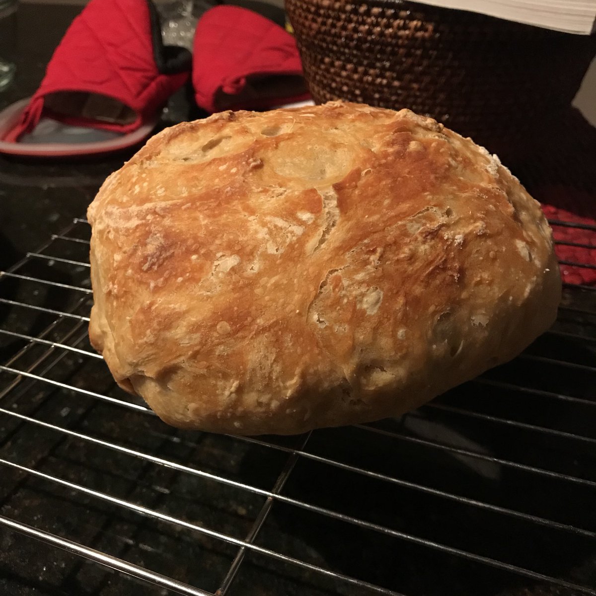 Bread #4: Almost No-Knead Bread. So, the idea of this bread is supposed to be that you can make an artisan-style loaf very easily. The catch is it takes forever. Very little active time but looonnnng rise. You also need a Dutch oven.