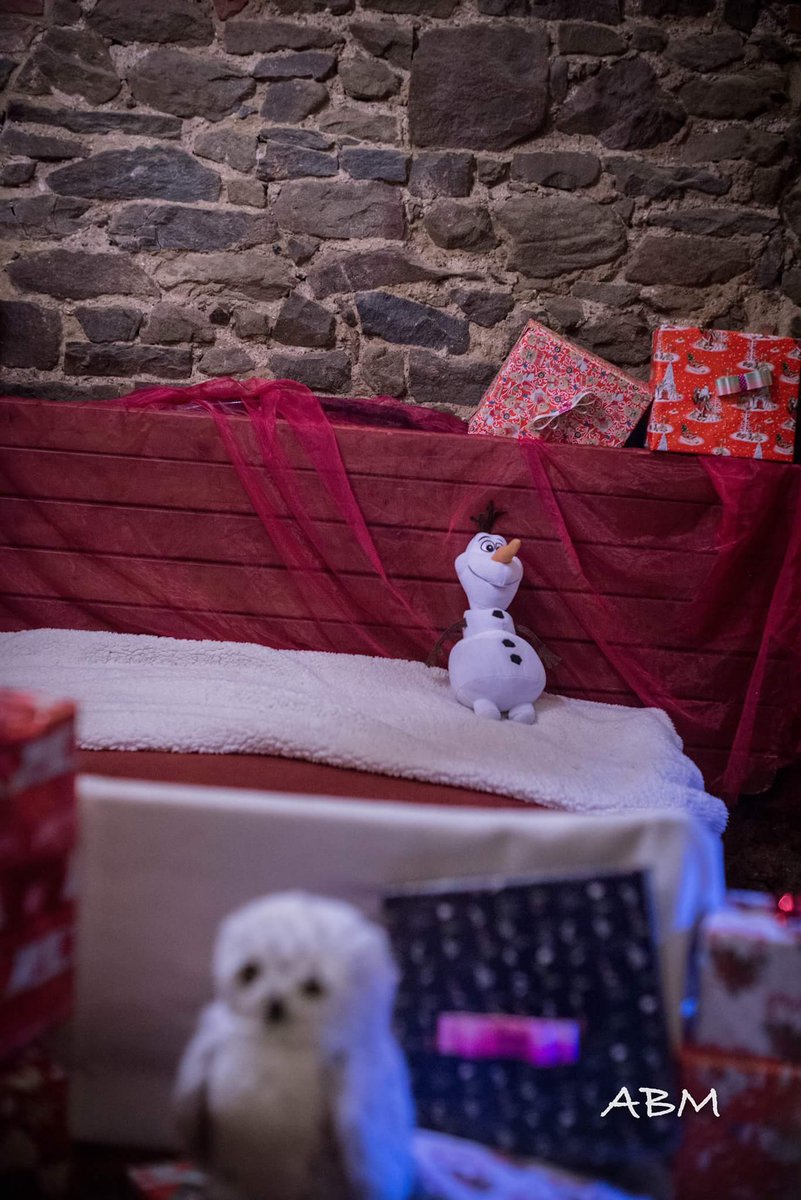 ProLocoScansano's tweet photo. La casa di Babbo Natale https://t.co/Jo6Jb5F1TC
