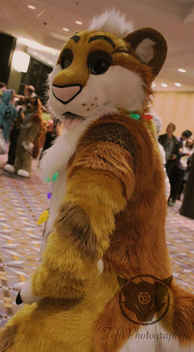 Sempai_Tofu's tweet photo. you guys know the routine. Please tag the big ol fluff butts. <3 <3 <3

#mff2017 #midwestfurfest #mwfff17 #mff17 #mwff2017 #midwestfurfest2017 #furfest2017 #furry #furries #furryfandom #fursuit https://t.co/wdLh37iym1