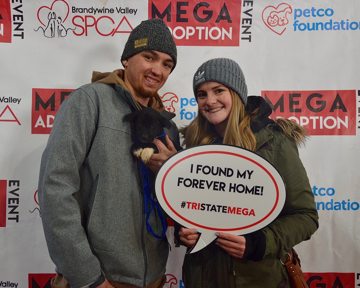 BrandywineSPCA's tweet photo. The 1036 adoptions last weekend mean the most to each individual animal whose life was changed forever. Checkout the album of adoption photos for more beautiful matches: https://t.co/gOpBMuGkG6 #tristatemega https://t.co/ptIkVy6HpN