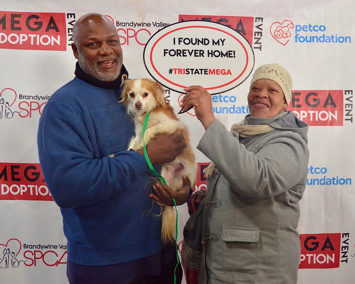 BrandywineSPCA's tweet photo. The 1036 adoptions last weekend mean the most to each individual animal whose life was changed forever. Checkout the album of adoption photos for more beautiful matches: https://t.co/gOpBMuGkG6 #tristatemega https://t.co/ptIkVy6HpN