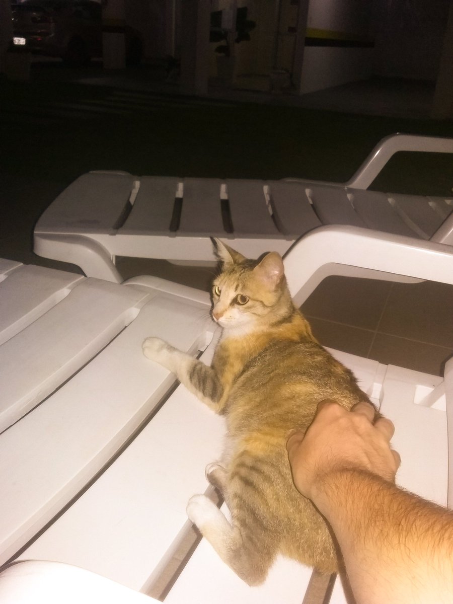 checumbe's tweet photo. Llegó el verano llegó la reina del nilo https://t.co/TlM9d0I17Y
