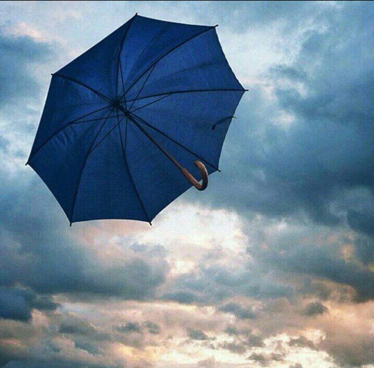 storyrome's tweet photo. جاهدت ذاكرتي على النسيان ....
فنسيت ....🌹
#حكايا_طفلة 

#رباب_الكلم 
#زبرجد_حرف 
#تأتأة_حرف https://t.co/IwfCvHRWn2