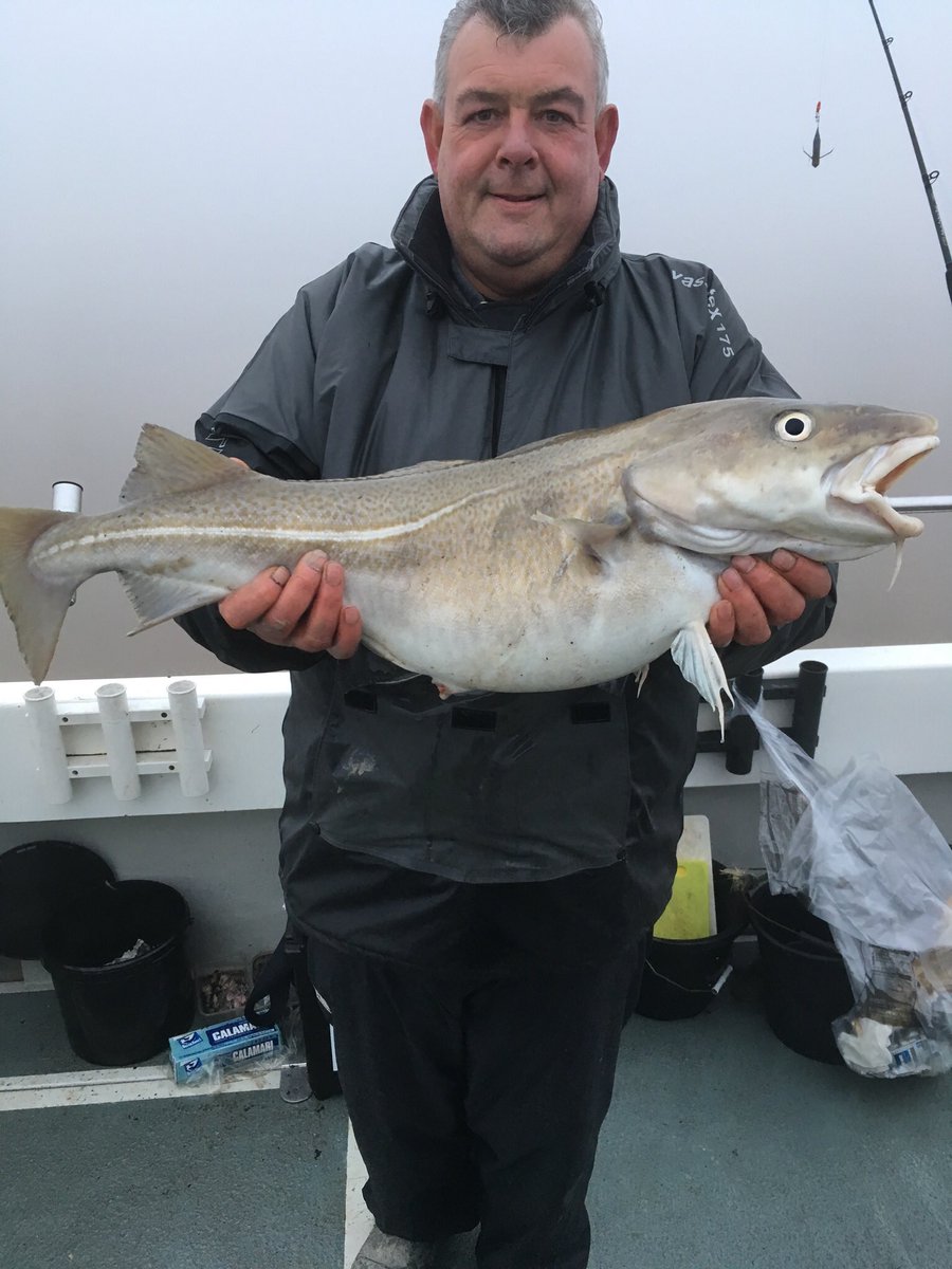 Escape Boat Charters tweet media