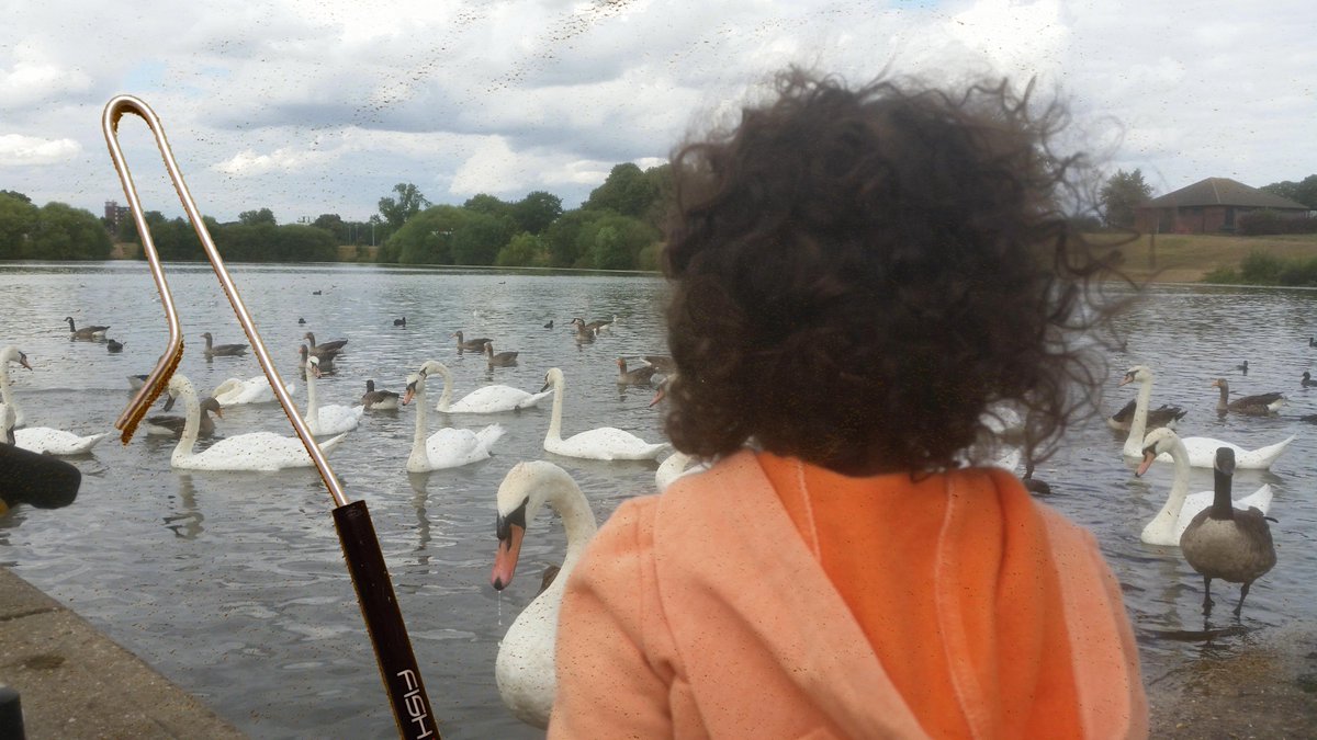 Started training my beautiful grandnephew to be a swan catcher!