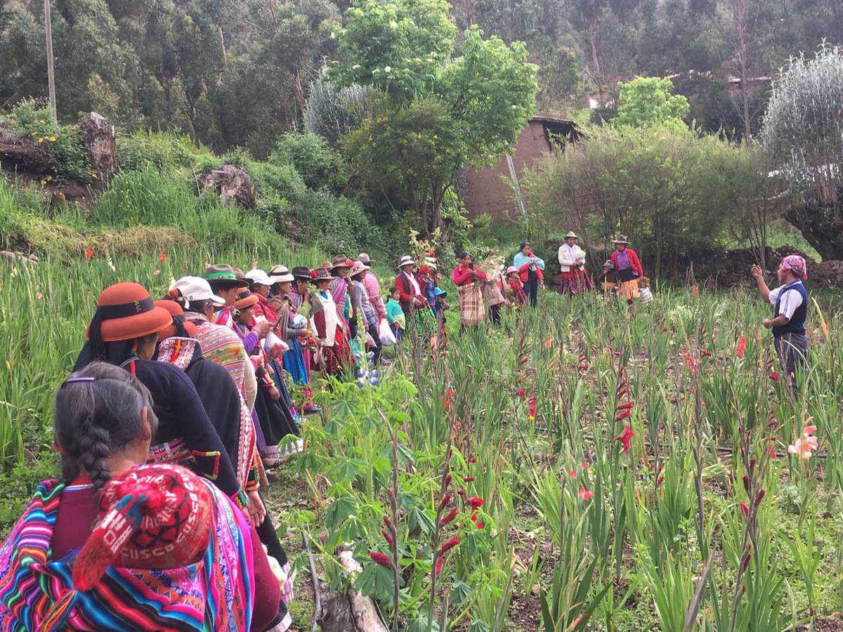 vnyhanjones's tweet photo. Women trainers from Apurimac #Peru visit their peers in Cusco to learn #bestpractices in nutrition & healthy housing. Mining & Agriculture project by @IFC_org & @CanadaDev helps improve community living conditions. #CommDevIFC #nutrition https://t.co/fC1kOM1EIQ