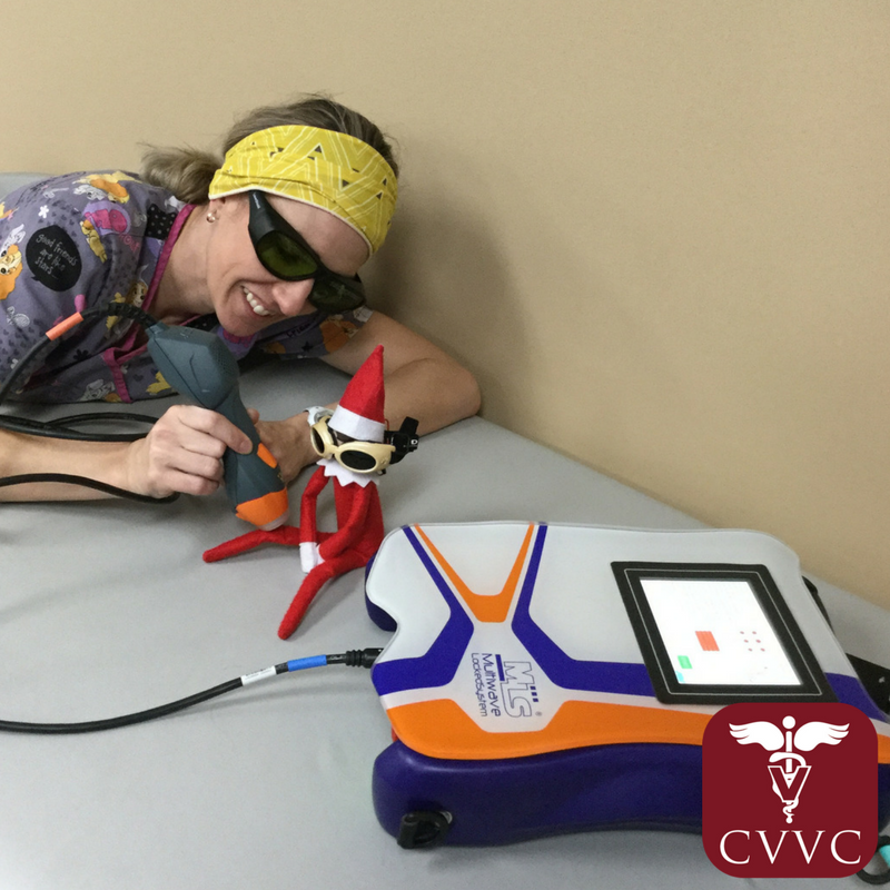 cypressviewvet's tweet photo. Zippy slipped on the ice and hurt his knee. So, he visited our rehab center for laser treatment to feel better!
Contact us today for more information on our rehabilitation services!
#elfontheshelf #vetelf #cvvcrehab https://t.co/oDJc3iAXM7