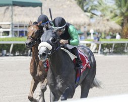 florida_horse's tweet photo. Big Score, Florida-bred Kroy Set for Mathis Brothers @Santa @santaanitapark 
Big Score, Bowies Hero, Colonist and Harbour Master have solid chances in Tuesday’s Grade 2, Mathis Brothers Mile on turf.
https://t.co/bWWjILYaLV
@FLbred #floridathoroughbreds #Floridabreds @freshfromFL https://t.co/22PkJx400E