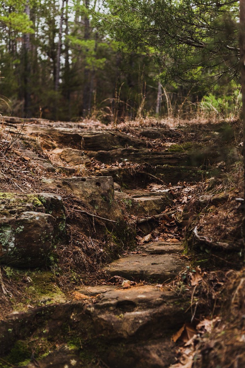 theanjash's tweet photo. Step up // Step forward // Step into your destiny
.
.
.
.
#gooutside #liveoutdoors #exploremore #ozarkslife #nationalparksusa #pruitt #arkansas #buffaloriver #buffalorivertrail #rockstairs #canonphoto #justgoshoot #lifeofadventure #ashiarlaimage #onmygrind #inmygrace https://t.co/vWdnFLVr5d