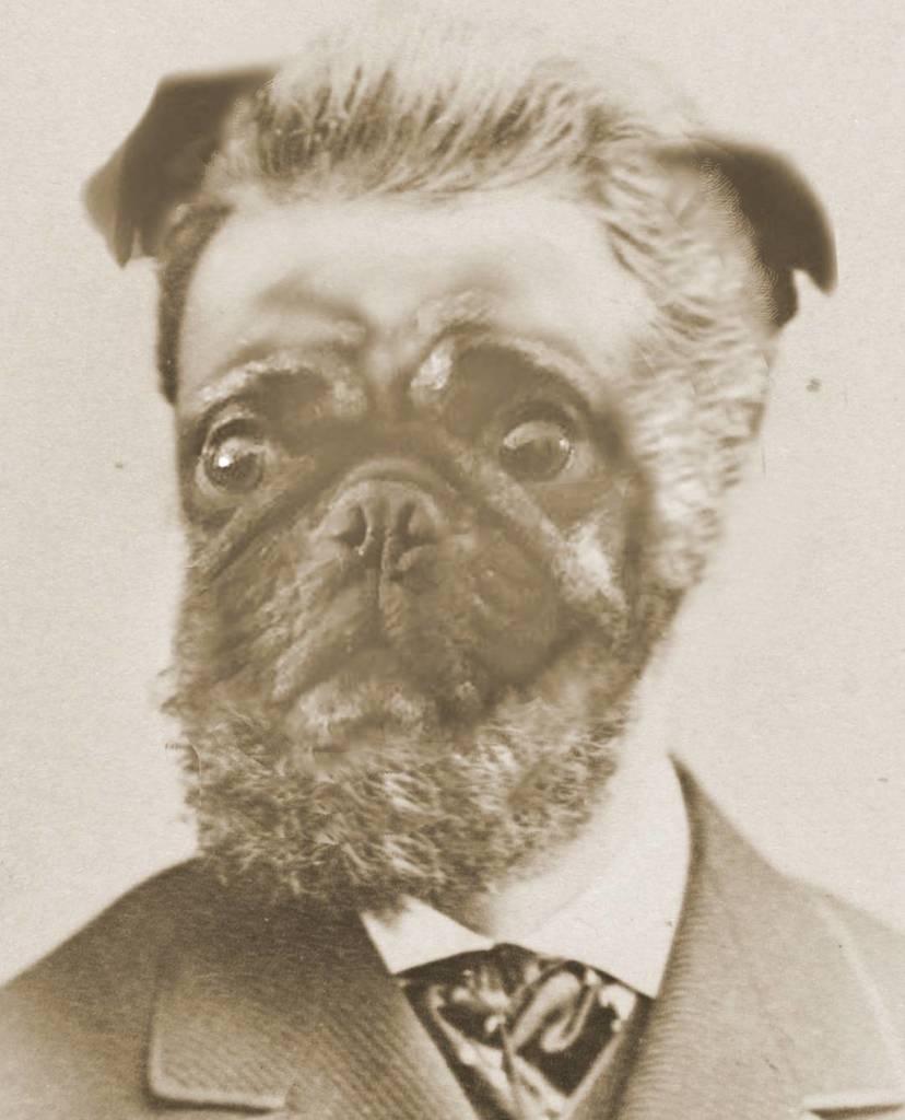 Our friend @realclintstagram has released His CHRISTMAS TRACK ift.tt/2BAbgP9  Listen #christmasmusic #christmaspugs #pugsofinstagram #pug #puppy #tchaikovskysymphonyorchestra #nutcracker #sugarplumfairy #doggo #composer #newmusic #newsingle #ho… ift.tt/2zgYxuG